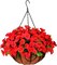 Silk Flower Hanging Basket: Lifelike Artificial Flowers in Coconut Lined Pot